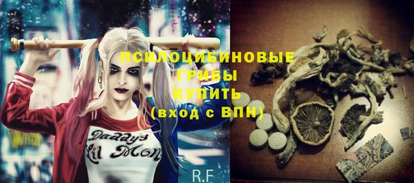 spice Володарск