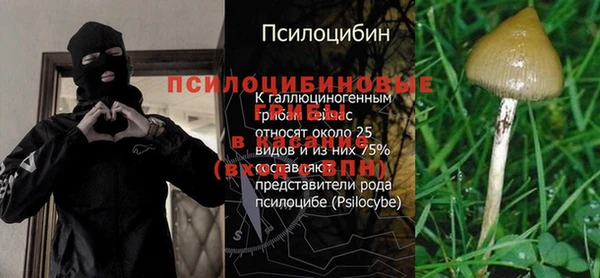 spice Володарск