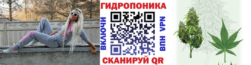 Купить где  Красный Кут  Марихуана OG Kush 
